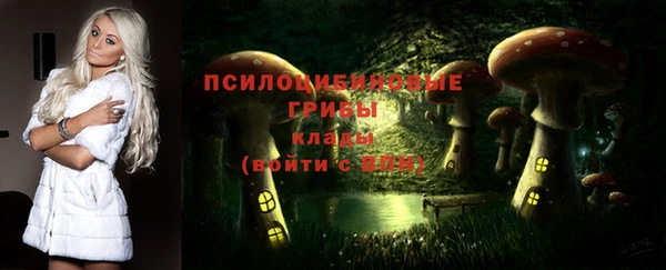 спиды Инсар
