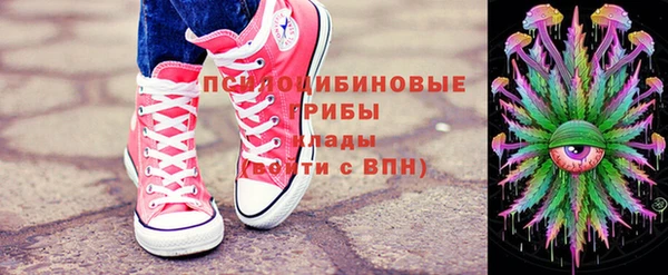 спиды Инсар