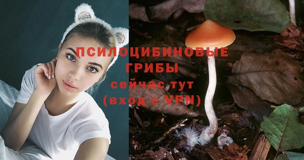 прущая мука Иннополис