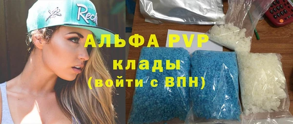 спиды Инсар